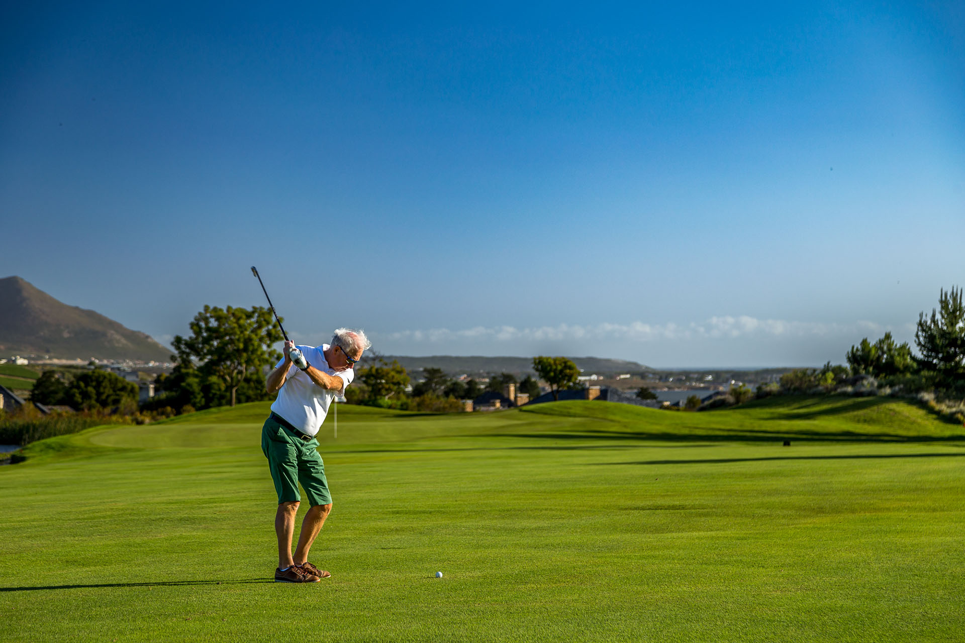 Business Photography